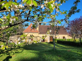 Property Main Photo