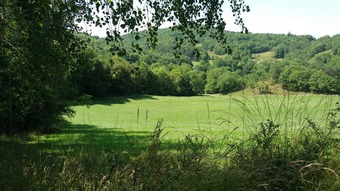 Property Main Photo