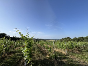 Property Main Photo