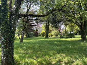 Property Main Photo