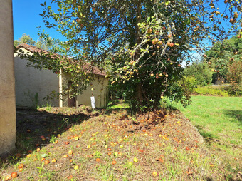 Property Main Photo