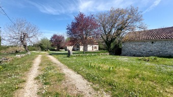 Property Main Photo