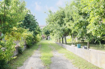 Property Main Photo