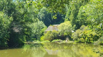 Property Main Photo