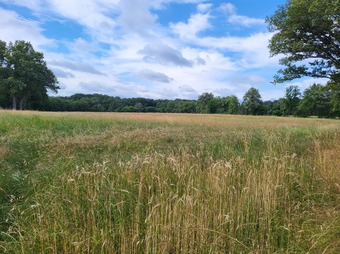 Property Main Photo