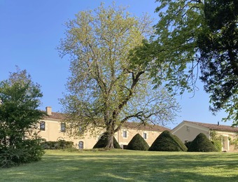 Property Main Photo