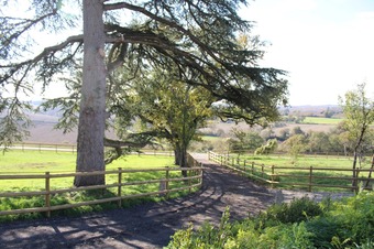 Property Main Photo