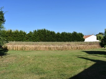 Property Main Photo