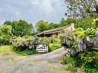 Property Main Photo