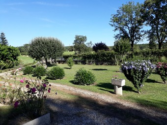 Property Main Photo