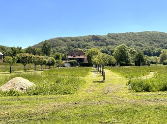 Property Main Photo
