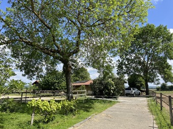 Property Main Photo
