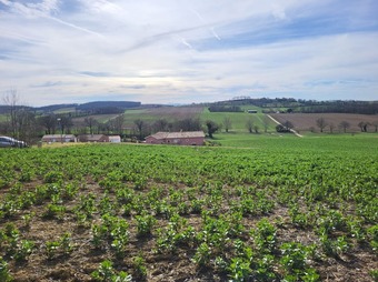 Property Main Photo
