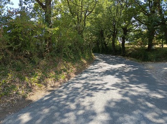 Property Main Photo