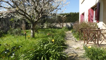 Property Main Photo