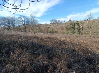 Property Main Photo