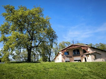 Property Main Photo