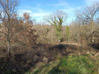 Property Main Photo