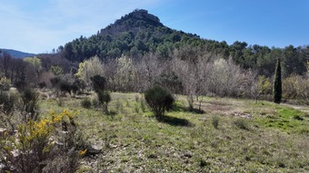 Property Main Photo