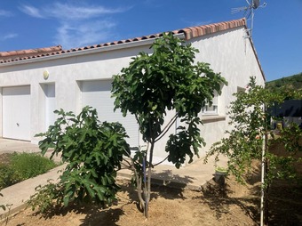 Property Main Photo