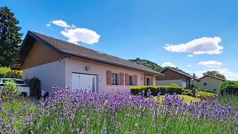 Property Main Photo