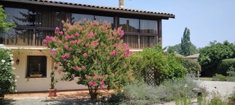 Property Main Photo