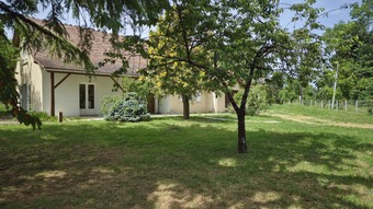 Property Main Photo