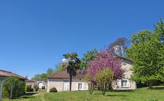 Property Main Photo