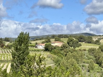 Property Main Photo