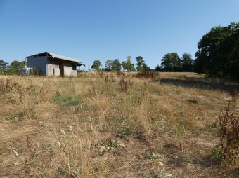 Property Main Photo
