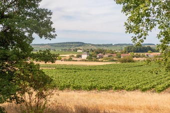 Property Main Photo