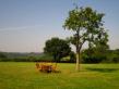 5 Bed. B&B, Near FALAISE in Orne