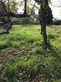 Land, Near Magnac Laval in Haute-Vienne