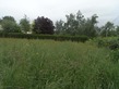 Land, Near Magnac Laval in Haute-Vienne