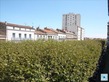 3 Bed. Apartment, Near SETE in Hérault