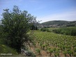 Plot, Near Clermont L Herault in Hérault