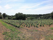 5 Bed. House, Near SANARY-SUR-MER in Var
