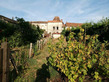 3 Bed. House, Near SAINT-SAUD-LACOUSSIERE in Dordogne
