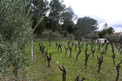 Property, Near BAGARD in Gard