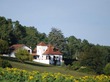 5 Bed. House with gîte, Near Mussidan in Dordogne