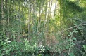 Land, Near BELESTA in Ariège