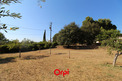 Plot, Near LE BEAUSSET in Var