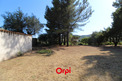 Plot, Near LE BEAUSSET in Var