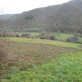 Plot, Near VIEILLEVIE in Cantal