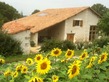 6 Bed. House, Near Aubeterre in Charente