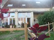 3 Bed. House, Near argentan in Orne