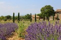 9 Bed. Studio in Alpes-de-Haute-Provence