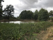 Land, Near Saint-Benoit-du-Sault in Indre