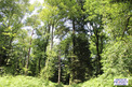 Property, Near DOMFRONT EN POIRAIE in Orne