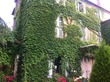 6 Bed. House, Near Bressuire in Deux-Sèvres